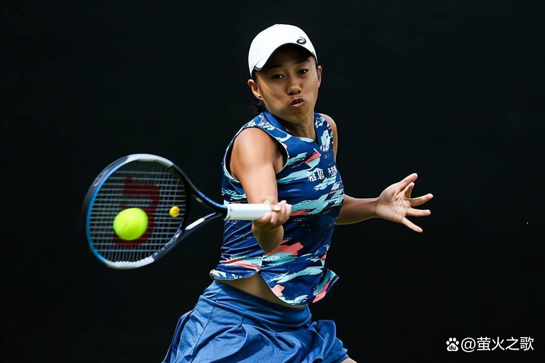 片段或红毯 片段或红毯